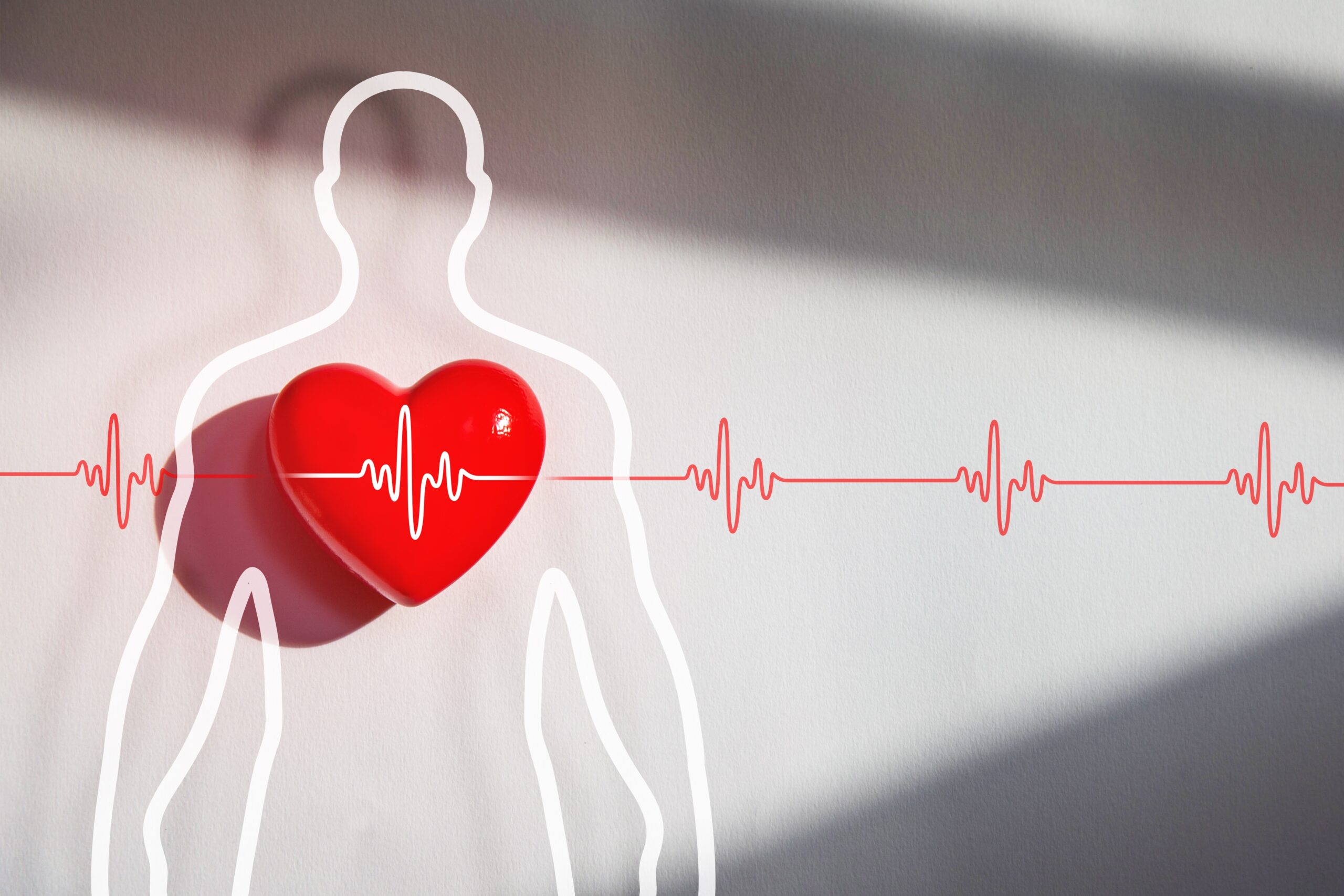 Outline of a human figure with a bright red heart over the chest and a red heartbeat line across the image, symbolizing heart health.
