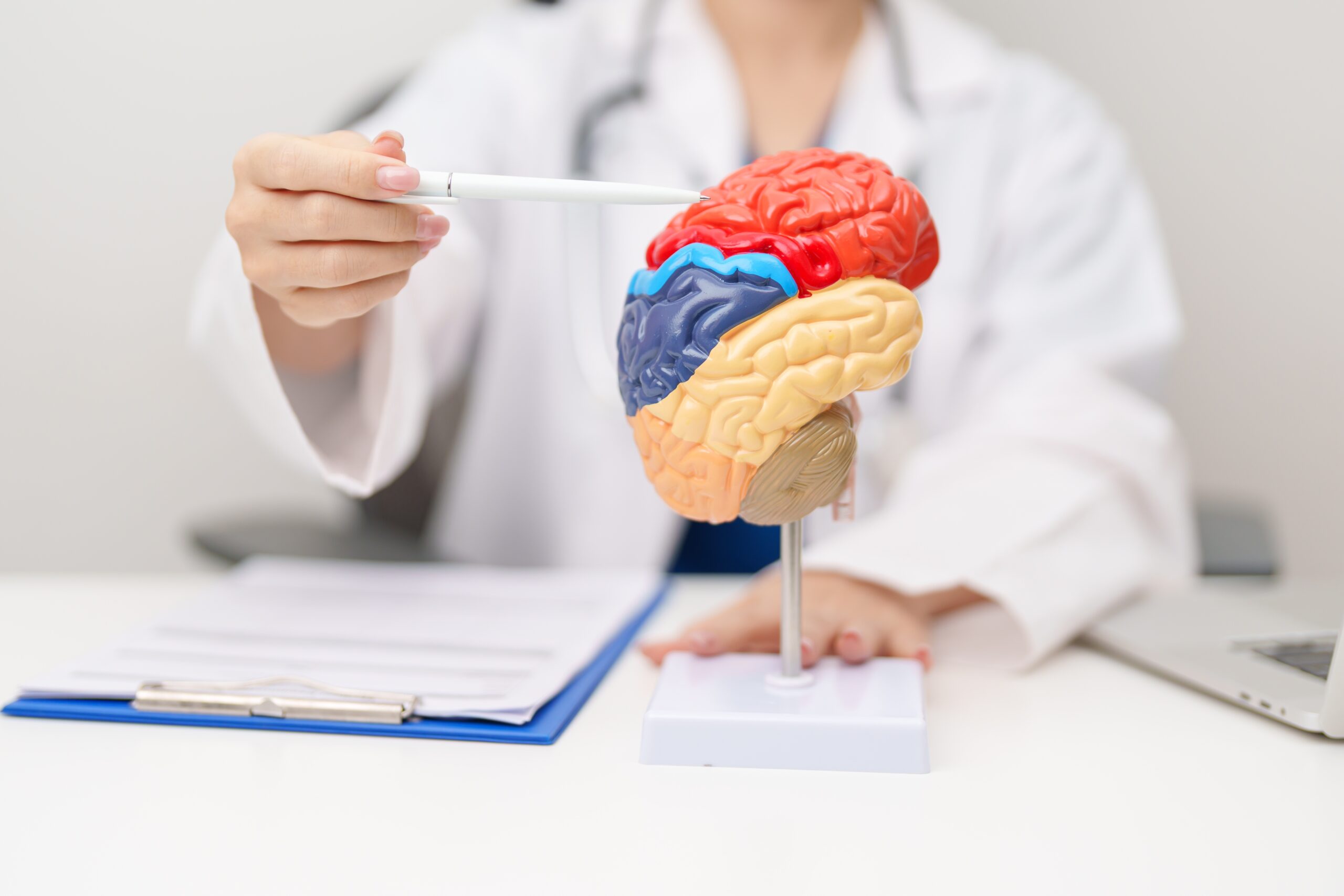 What Causes Frequent Headaches Medical professional in white coat points at a colorful brain model with a stylized pen for teaching anatomy.