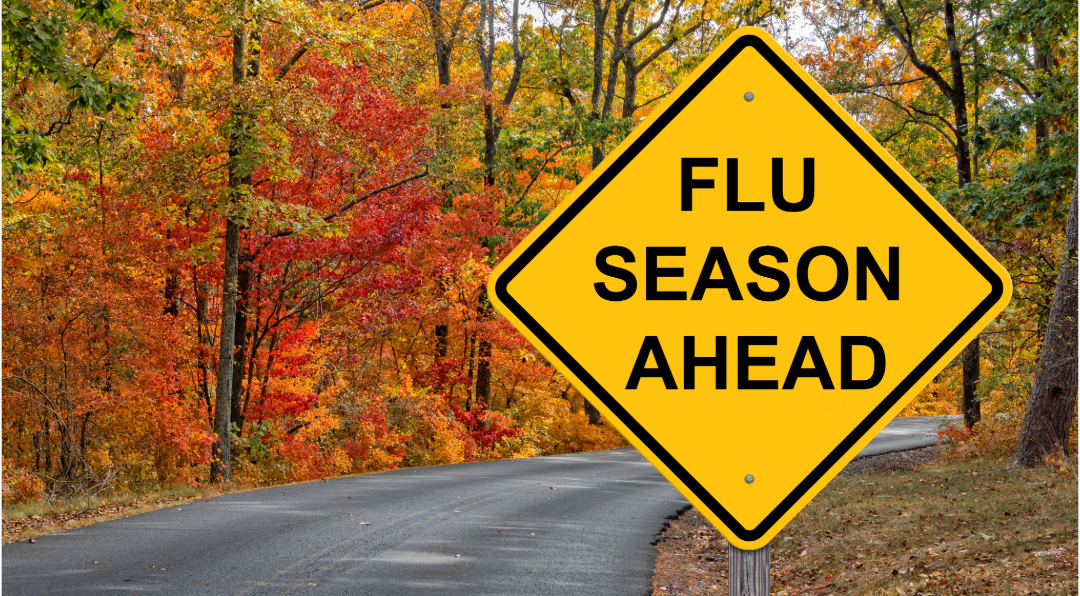 Yellow diamond warning sign reads 'FLU SEASON AHEAD' over a road lined with autumn trees.